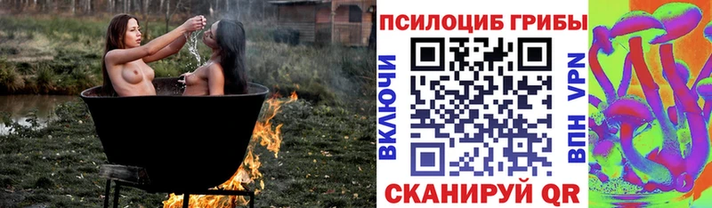 Псилоцибиновые грибы MAGIC MUSHROOMS  наркошоп  Липки 